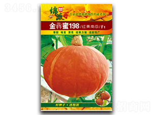 金犇蜜198-南瓜種子-綿蔬種業(yè)