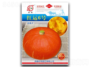 紅運(yùn)6號-南瓜種子-好特園藝