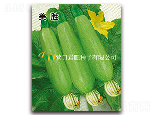美勝-西葫蘆種子-營(yíng)口君旺