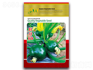 旺仔168-西葫蘆種子-營(yíng)口君旺