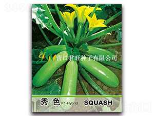 秀色-西葫蘆種子-營(yíng)口君旺