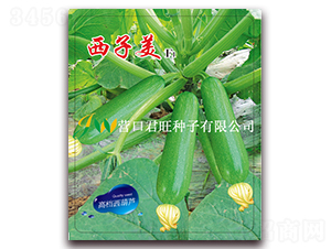 西子美-西葫蘆種子-營(yíng)口君旺