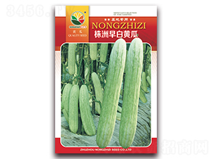 株洲早白黃瓜-白黃瓜種子-農(nóng)之子