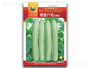 翠香六號-白黃瓜種子-農(nóng)之子