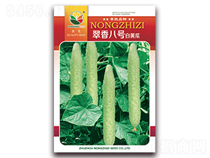 翠香八號-白黃瓜種子-農(nóng)之子