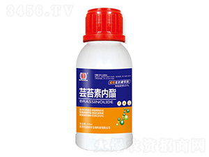 蕓苔素內(nèi)酯-金田豐