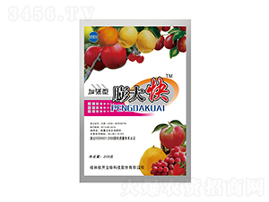 200g加強(qiáng)型膨大快-桂開