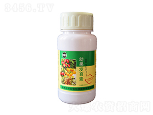 幼果發(fā)育素-桂開