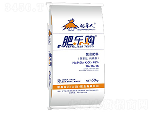 ͺϷ16-16-16-ʘُ-лʯ