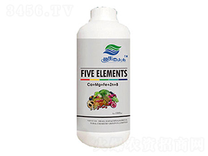 ΢Ԫأ}V\F-ۿ