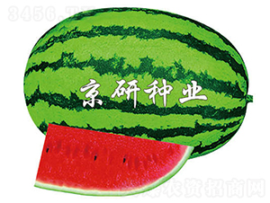 京欣6號(hào)-西瓜種子-京研種業(yè)