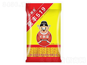 范豐519-小麥種子-不倒翁