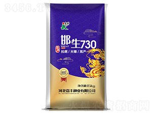 邯生730-小麥種子-嘉科