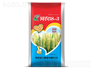 河農(nóng)58-3-小麥種子-嘉科