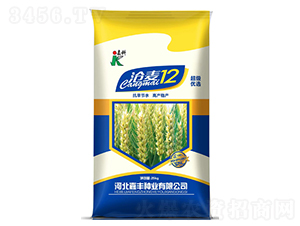 滄麥12-小麥種子-嘉科