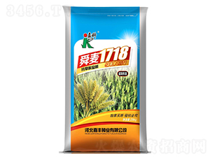 舜麥1718-小麥種子-嘉科