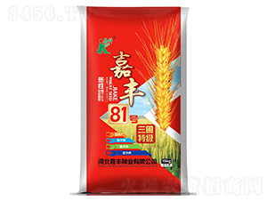 嘉豐81號-小麥種子-嘉科