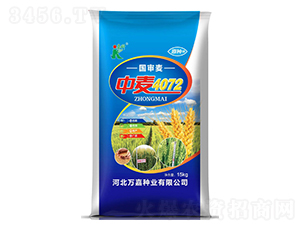 中麥4072-小麥種子-嘉科