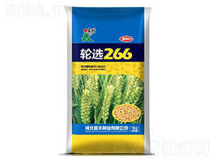 輪選266-小麥種子-嘉科