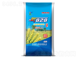 石新828-小麥種子-嘉科