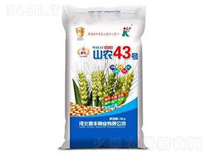 山農(nóng)43號-小麥種子-嘉科
