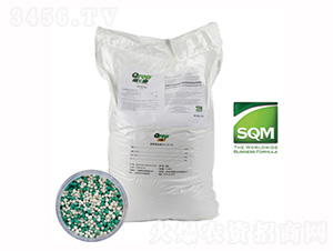 SQMԭbM(jn)ڿƘ(l)տጷ-(yng)ǻ