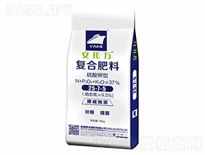 ͏ͺϷ25-7-5-f-rI(y)