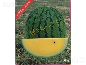 皇玉西瓜-西瓜種子-廣良