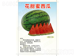 花甜蜜西瓜-西瓜種子-廣良