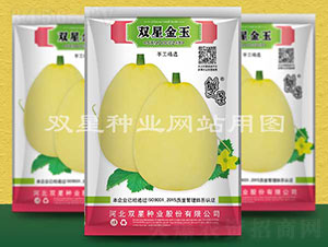 雙星金玉-甜瓜種子-雙星種業(yè)