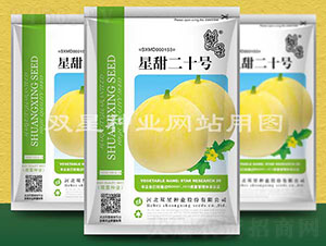 星甜二十號(hào)-甜瓜種子-雙星種業(yè)