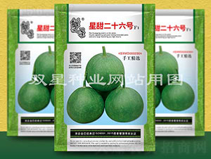 星甜二十六號(hào)-甜瓜種子-雙星種業(yè)