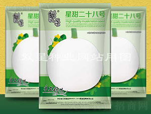 星甜二十八號(hào)-甜瓜種子-雙星種業(yè)
