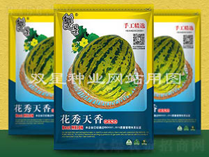 花秀天香-甜瓜種子-雙星種業(yè)