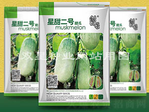 星甜二號(hào)-甜瓜種子-雙星種業(yè)