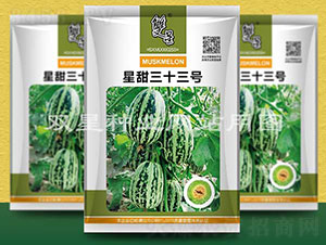 星甜三十三號(hào)-甜瓜種子-雙星種業(yè)