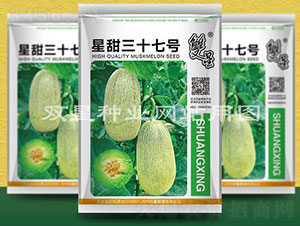 星甜三十七號(hào)-甜瓜種子-雙星種業(yè)