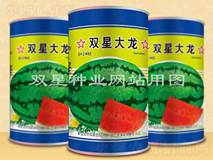 雙星大龍-西瓜種子-雙星種業(yè)