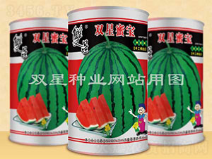 雙星蜜寶-西瓜種子-雙星種業(yè)