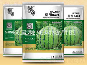 星研8424-西瓜種子-雙星種業(yè)