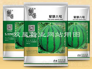 星研八號(hào)-西瓜種子-雙星種業(yè)