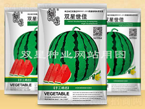 雙星世佳-西瓜種子-雙星種業(yè)