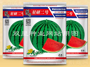 星研二號(hào)-西瓜種子-雙星種業(yè)