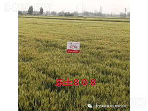 (l)808-СN-Ǻ(rn)r(nng)