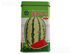 金源6號-西瓜種子-金種源