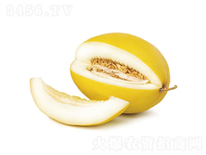 金麗1號-甜瓜種子-慶發(fā)禾盛