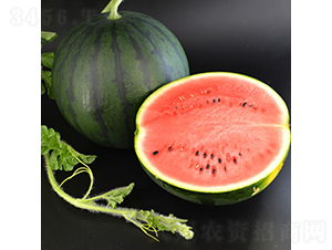 墨寶1號-西瓜種子-慶發(fā)禾盛