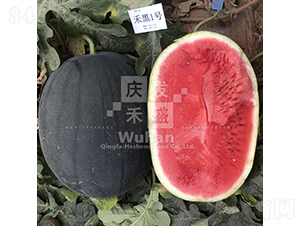禾黑1號-西瓜種子-慶發(fā)禾盛