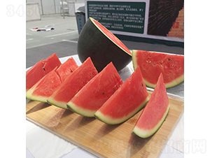 慶黑2號-西瓜種子-慶發(fā)禾盛