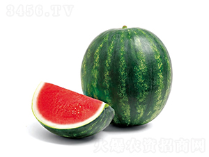 花妞5號-西瓜種子-慶發(fā)禾盛